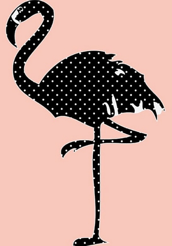 Flamingo print, Yorkelee